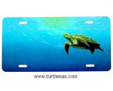 Sea Turtle on License Plate