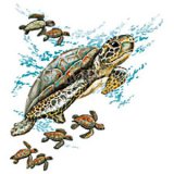 Green Sea Turtle Swimming with Babies T-Shirt (Adult)