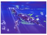 Sea Turtle Dream Inspiration Card