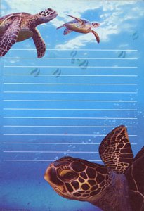 Swimming Sea Turtles Notepad