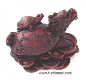 Chinese Turtle Dragon
