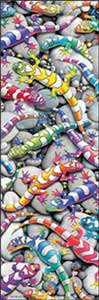 Rainbow Geckos Poster