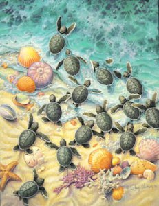 Baby Sea Turtle Note Cards (8)