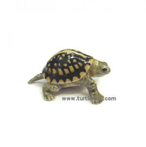 "Dom" Mini Porcelain Box Turtle