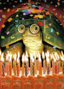 Tortoise & Hare Birthday Card