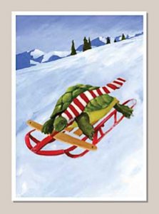Sledding Turtle Holiday Cards (15)