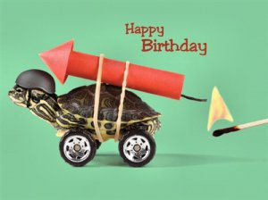 "Have a Blast" Turtle Birthday Card