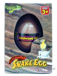 Snake Hatch and Grow Egg