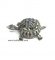 Pewter Turtle Box w/ Necklace & Earrings